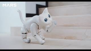 MarsCat  A Bionic Cat, a Home Robot by Elephant Robotics 2020 screenshot 5
