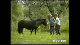 RDVideo - Fattoria Barbarossa - allevamento e vendita Falabella