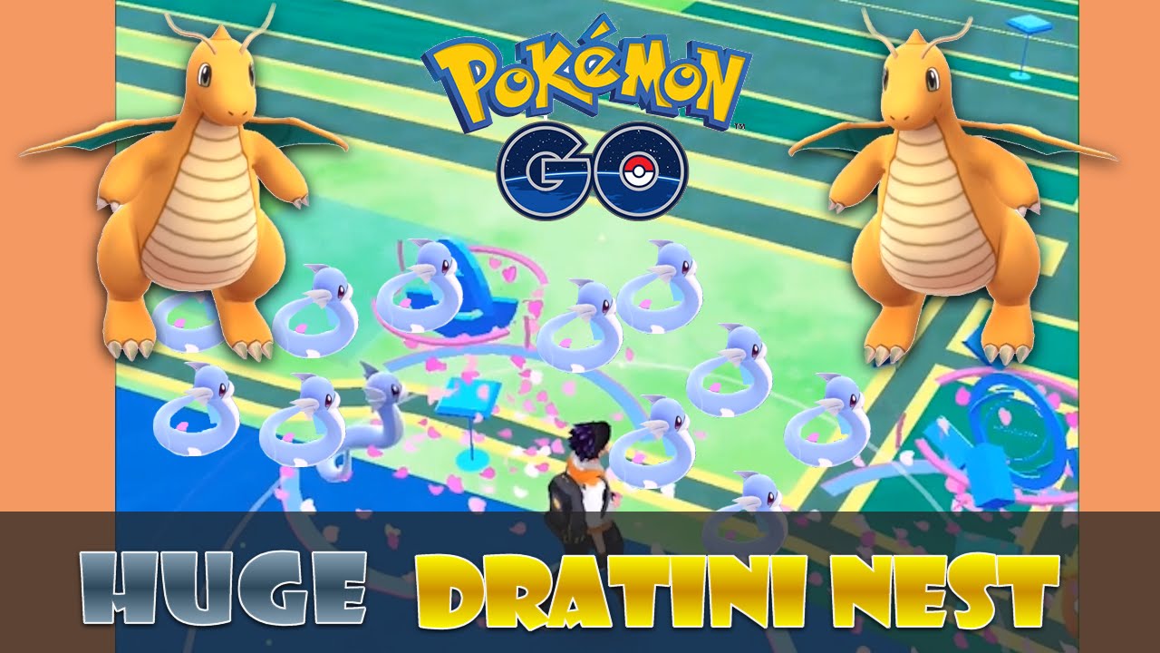 huge dratini nest and