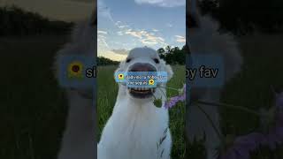 🌈Tu hobby fav🌈 comenta tu hobby fav #parati #edit #apoyoplissssssssssssss #tips #hobbies