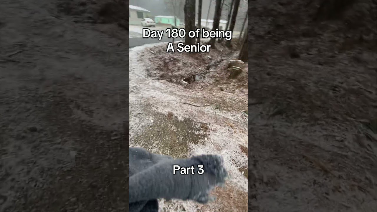 180-й день моего пребывания в статусе старшекурсника