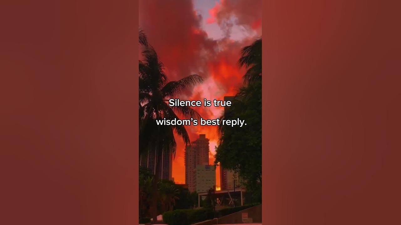 silence-is-true-wisdom-s-best-reply-youtube