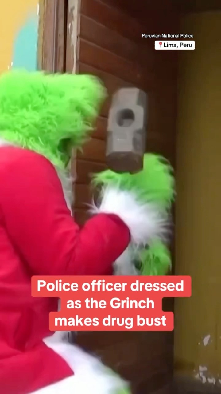 Police officer dressed as the Grinch makes drug bust in Peru #shorts
