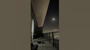 سورة طه آية ٨٢ ✨| وَإِنِّي لَغَفَّارٌ لِّمَن تَابَ وَآمَنَ وَعَمِلَ صَالِحًا ثُمَّ اهْتَدَىٰ
