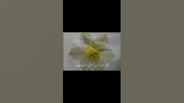 سورة : الذاريات | 17|| #fyp #قران #quranروّان | Quran 🤎
