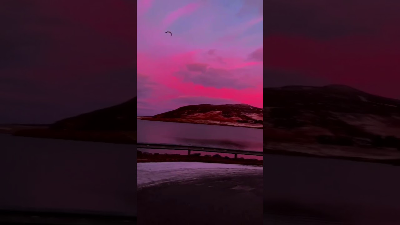 Zedd,Alessia Cara - stay  (slowed)