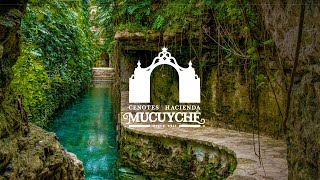 Cenotes Hacienda Mucuyche Yucatan Mexico