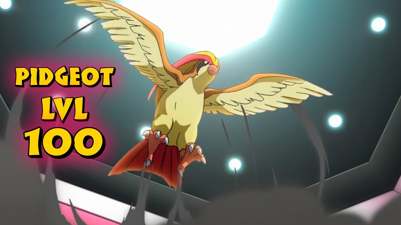 Pokemon Masters ОБЗОР BLUE PIDGEOT LVL100 И СОВЕТ КАК СОКРАТИТЬ ВРЕМЯ БОЯ