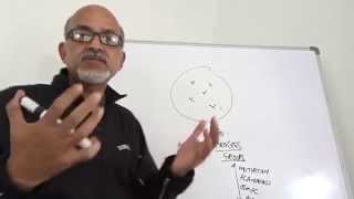 PMdistilled PMP online course #Introduction