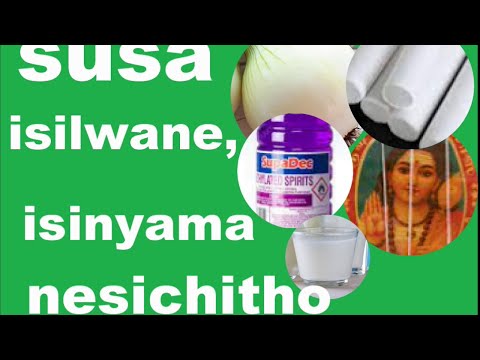SUSA ISINYAMA ISICHITHO