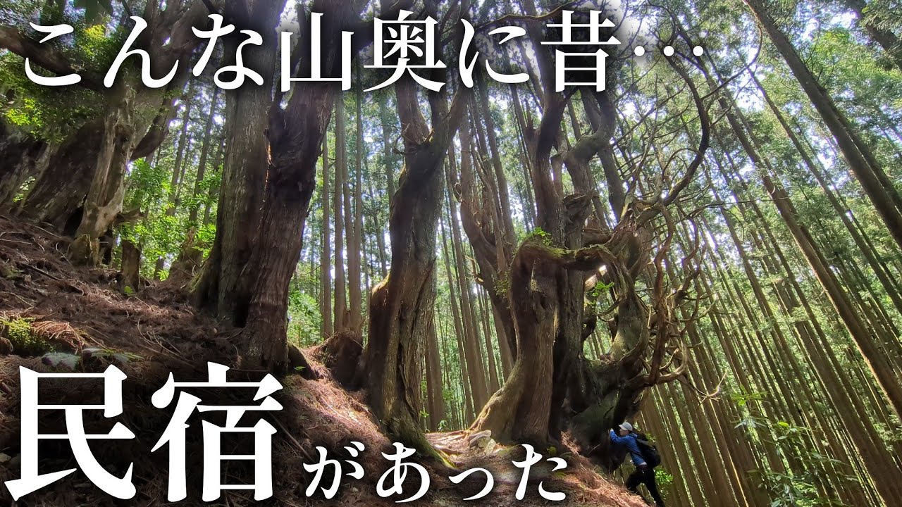 【この巨木はいったい…】山のど真ん中に民宿があった ⁉十津川村にある三浦集落を歩く！