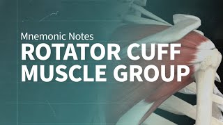 Mnemonic Notes: Rotator Cuff Muscle Group