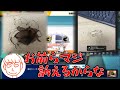 水を漏らして机に穴をあけるしんじろー吉田【2023.09.24/スマブラSP/しんじろー吉田/切り抜き】