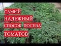 САМЫЙ НАДЕЖНЫЙ И ПРОВЕРЕННЫЙ СПОСОБ ПОСЕВА ТОМАТОВ. РАССАДА БУДЕТ КРЕПКОЙ!