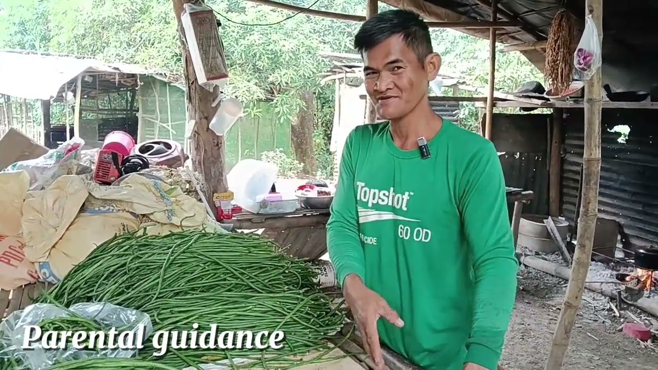 Mamimitas lamang ng sitaw. 