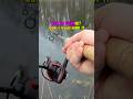 The BEST Beginner Fishing SETUP! 🎣 #shorts #fishing