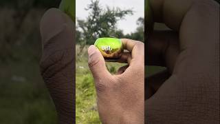 Small JBL Speaker Big Sound 😱 Bass Test Outdoors