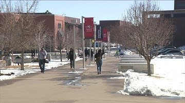 Schools debating how to navigate new artificial intelligence technology, 