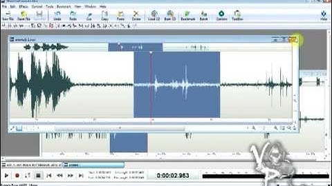 Analyze Your EVP W/Free Software! (Tutorial)
