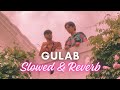 Gulaab mitraz slowed  reverb  mitraz  asen creations  hindi song lofi slowed reverb trending