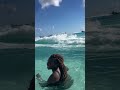 #pov #vacation #caribbean #barbados #funny #haveitoldyoulatelythatiloveyou #dothingsyoudontwanttodo