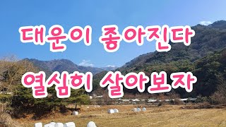 실전사주 대운보기 장사가 힘들었어요 현재대운에 재물운은 어떠한가요?