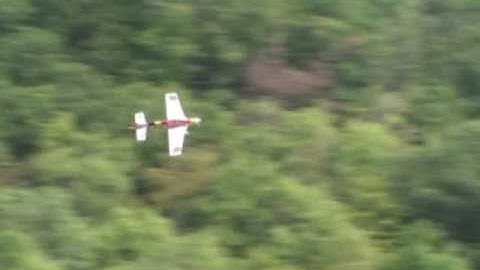 NeatFair2009 EObession flutter