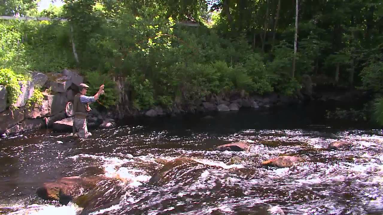 Strömmande vatten - Torrflugetekniken (Chapter from film in Swedish)