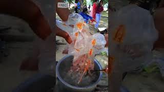 Picnic At From Deusi Vailo Program...20790712