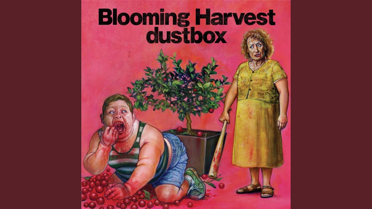 ミュージシャン dustbox vk design SxOxP - YouTube