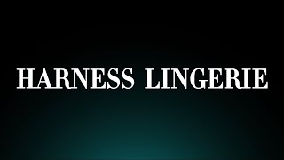 Harness Lingerie Pronunciation Intimating Fashion Apparel