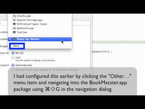 Xcode 5 Disrespects Custom Executable