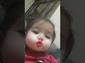 القطة المشمشية حلوه ميلا كيوت Funny اشتراك القطة المشمشية حلوه ميلا كيوت Funny اشتراك