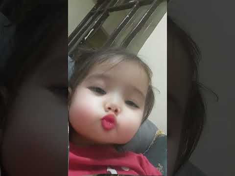 القطة المشمشية حلوه ميلا كيوت Funny اشتراك