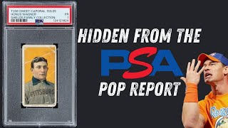 T206 Wagner Hidden On the PSA Report for Goldin Auctions Netflix Show.