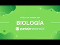 Prueba de Transición BIOLOGÍA | Metabolismo Celular 2 | Clase N°11