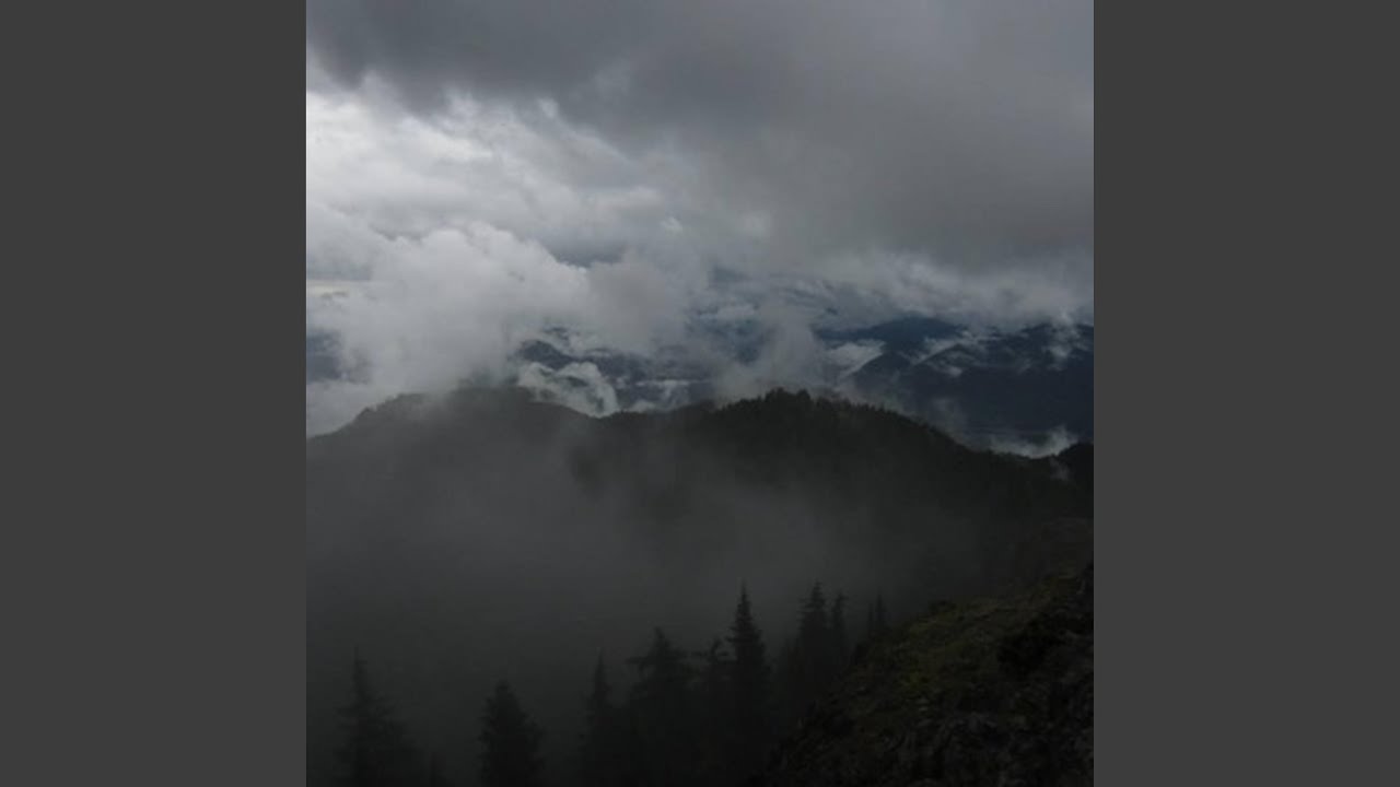 Guarda Agitated su YouTube Guarda Agitated su YouTube