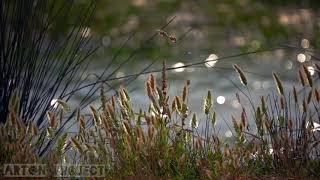 story wa terbaru malam seribu gelisah by zamani