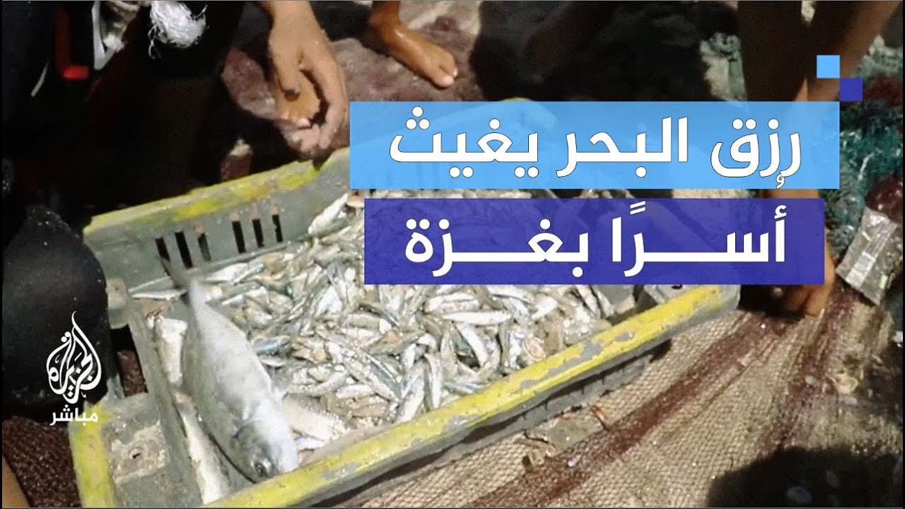 صيادون بغزة يخاطرون بأرواحهم من أجل لقمة العيش