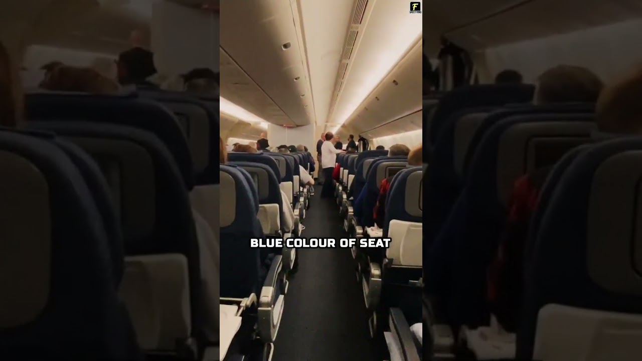 Why Aeroplane seats are in blue 🛩 🤔 | Daily Find | 