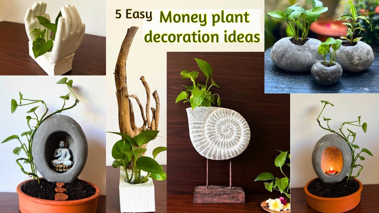 5 Easy Indoor money plant decoration ideas मनी प्लांट की सजावट plant decor with cement planter