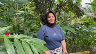 Kaget Bertemu Janda Cantik Di Hutan Anak Lima Sakit Makan Hanya Hasil Dari Anyaman Bambu