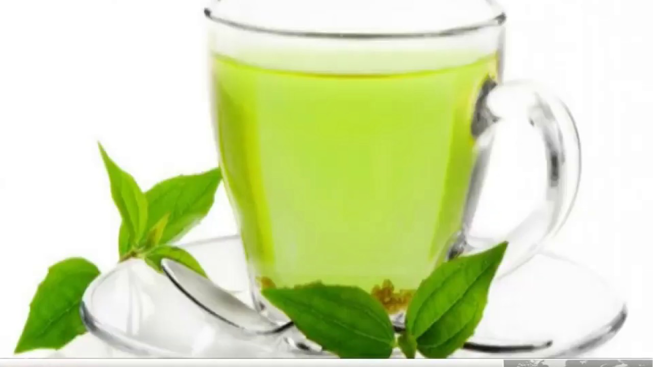 Benefits of Kangra green tea in hindi green tea ke fayde kangra green