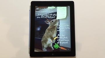 Interactive Apple iBook Demo (ebook)