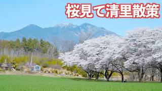 清里駅前が盛り上がってきたので行ってみた!!｜北杜市｜清里｜Ottocast Play2Video Ultra｜ドライブ｜田舎暮らし｜山梨県｜4K screenshot 1