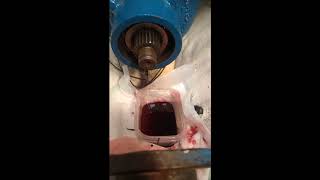 Borg Warner Velvet Drive Seal Replacement