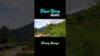 Nepal Diary Chapter 15 #shortsfeed #ytshorts #nepal #nature #motovlog #fyp #reels #travel #trending