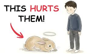 7 Things You Do Every Day That Are Slowly Hurting Your Rabbit's Trust