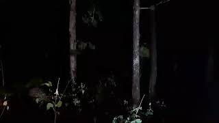 Lembah kunti @sukamdi