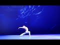 Daniil simkinle corsaire variation